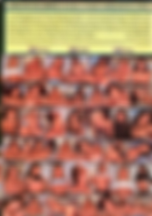 Porn O' Plenty #10 back cover