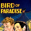 Bird of Paradise [1932] / H264 / MP4 / WEB / SD / AAC thumb