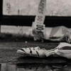Murdered at First Sight S01 720p WEB h264-B2B thumb