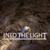 Into The Light [2014] / H264 / MKV / WEB / 720p / AC3 / Subs / ISA thumb