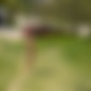 [EuroNudes.com] 2020-06-19 Catia A - Photo Set 18 [Solo,Exhibitionism] [2400*3600, 124] thumb