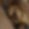 [LegalPorno.com / AnalVids.com / PornBox.com] Lily Lamour, Markus Dupree, Serge, Cail (AKA: Dorian), Omar Galanti (4on1 DP cute babe Lili - Takes 4 Big Cock - HArd Anal Fuck) [2024-04-10, Anal, Brunette, Big Cock, Blowjob, Cumshot, DP, Facial, Gape, Gonzo, Swallow, Teen, Orgy, Rough Sex] [2160p] [Upscale] thumb