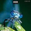 Sir David Attenborough Life In The Undergrowth 2005 DVDRIP XviD-RUNNER thumb