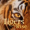 Tigers on the Rise [2024] / H264 / MKV / WEB / 1080p / AC3 / Subs / FLUX thumb