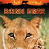 Born Free [1966] / H264 / MKV / Blu-ray / 1080p / FLAC / Subs thumb