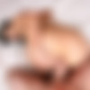 NaughtyAmericaVR.com - Marica's Massage - Marica Hase (Oculus) thumbnail