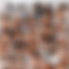 asstitans.com full siterip 2008-2010 [62 scenes+picset] thumbnail