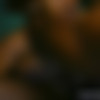 Big Boob Bangeroo 17 thumb
