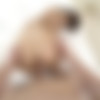 [IntimatePOV.com] Sybil - A Wonderful Day With Sybil [2020-06-27, Cumshot, Gonzo, Hardcore, POV, 2160p, SiteRip] thumb