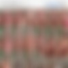 [OnlyFans.com] Hairy Angela (aka) MilkyBunnyxxx (173 ) MegaPack [2023-2025, Anal Game, Big Tits, Blowjob, Dildo, Fuck Machine, Freak, Haircuming, Hairy, Lingerie, Masturbation, Natural Tits, Panties, Piercing, Posing, Solo, Tattoos, Toys] thumb