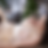 [Zero Tolerance] Kittens & Cougars 16 [720p] thumb