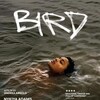 Bird 2024 BDRip x264-KNiVES thumb