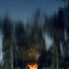 Delphi Falls [2017] / H264 / MKV / Unknown / 1080p / AAC thumb