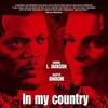 In My Country 2004 German 1080p WEB H264-CLASSiCALHD thumb