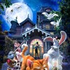 The House of Magic [2013] / H264 / MKV / Blu-ray / 720p / AC3 / VietHD thumb