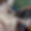 [REQ] HardFuckTales.com - Monica aka Marta, Silvia - 4some, airtight (repost of 171905@cheggit) thumbnail