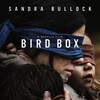 Bird Box 2018 2160p WEBRip X265-DEFLATE thumb