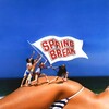 Spring Break [1983] / H264 / MKV / Blu-ray / 1080p / AC3 thumb