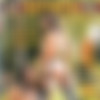 Assploitations 6 /   6 (Ariana Jolle / Mayhem) [2006 ., Gonzo, All Sex, Anal, DP, Facial, Toys, DVDRip] (Ariana Jollee, Tory Lane, Sandra Romain, Melissa Lauren, Dana Vespoli) thumb