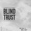 Blind Trust 2022 1080p WEB H264-RVKD thumb