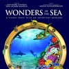 Wonders of the Sea 2017 2160p UHD Bluray REMUX HDR10 HEVC DTS-HD MA 2 0-4K4U thumb