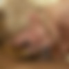 [AssHoleFever.com / 21Sextury.com] Teena Dolly (Ass-massage / v8430 / 21.07.12) [2012 ., Anal, Ass Licking, Blonde, Blowjob, Cumshot, Curvy, Facials, Fingering, Hardcore, Interracial, 1080p] thumb
