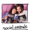 Social Animals [2018] / MPEG2 / VOB IFO / DVD / SD / AC3 / Subs / NOGROUP thumb