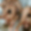 [SpermSwap.com / PerfectGonzo.com] Angelika Grays & Polina Maxima aka Venera Maxima (03-02-2020) [Tattoo, Fake tits, Average Butt, CumSwapping, Caucasian, Fetish, BGG, Threesome, Cowgirl, Doggystyle, Missionary, Reverse Cowgirl, Anal, Blowjob, DeepThroat, Fingering, Striptease, 1080p] thumb
