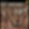 [NewSensations] Ashlynn Brooke's Adventures In Sex Volume 1 (2009-09-28) [720p x265 re-encode] (1.90 GB) thumb
