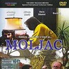 The Moth [1984] / H264 / MKV / DVD / SD / AC3 / Serbian / Subs thumb