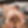 [RealWifeStories.com / Brazzers.com] Angelina Diamanti (I'm A Professional / 12.03.2019) [All Sex, Blowjobs, 720p] thumb