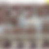 [OnlyFans.com] Roberta Gemma (128 ) Pack (Roberta Missoni) [2017-2021, Interracial, Italian, Big Tits, Blowjob, Cumshot, Hardcore, Lesbian, MILF, Nudism, Natural Tits, Pissing, Posing, Softcore, Titfuck] thumb