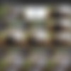 [Loan4k.com] Loan4k Siterip as of 26.08.2020 (13 clips) 1080p thumb