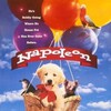 Napoleon 1995 720p WEB H264-DiMEPiECE thumb