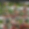 [BrownBunnies.com / BangBros.com] Nia Nacci Seduces The Gardener [10.05.2019][1080p] thumb
