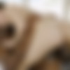 [Blacked.com] Blacked Cowgirl Compilation [2022 ., Anal, BBC, Big Ass, Brunette, Blonde, Compilation, Cowgirl, Interracial, IR, Hardcore, Natural Tits, Redhead, Teen, 720p, WEB-DL] thumb