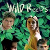 Wild Reeds [1994] / MPEG2 / VOB IFO / DVD / SD / AC3 / French thumb