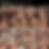 [HardX] Asian Anal Creampie [Sharon Lee] (2019-03-05) [1080p] [x265] thumb