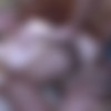 [FERRONETWORK.com / GuysForMatures.com] / Amelia B, Claudius / g861 / 27.09.2012 [2012 ., All sex, Oral, Masturbation, Mature, SiteRip, 720p] thumb