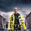 After The Flood S01 1080p WEB H264-CRUMPETS thumb