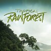Tropical Rainforest [1992] / H264 / MKV / Blu-ray / SD / AC3 thumb