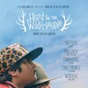 Hunt for the Wilderpeople 2016 1080p BluRayRip EAC3 5 1 x265-Lootera thumb