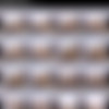 TMWVRNET.com (2of4) thumbnail