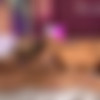 [onlyfans.com] Briana Banderas [2024-01-31, Big Ass, Big Tits, Blowjob, Creampie, Deep Throat, Doggystyle, Russian Girls, 1080p, SiteRip] thumb