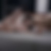 Double Jeu /  (DORCEL) [2023 ., Anal, Feature, Group Sex, Threesomes, VOD, 540p] (Split Scenes) (Cherry Kiss, Chloe Duval, Clara Mia, Mary Popiense) thumb