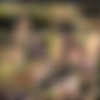 [FaceFucking.com] Orion Starr 2 [16.05.13]() thumbnail
