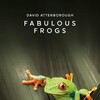 Fabulous Frogs [2014] / H264 / MKV / Blu-ray / 1080p / AC3 / Subs / Scene / SADPANDA thumb