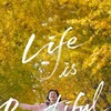 Life Is Beautiful [2022] / H264 / MKV / WEB / 1080p / AAC / Korean / Subs / iTsOK thumb
