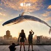 Jane S02E04 1080p WEB h264-DOLORES thumb
