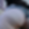 [ManyVids.com / JessieMinxxx.com] (175 ) MegaPack / JessieMinx [2017, Solo, BBW, BigTits, BigAss, Toys, Dildo, Masturbate, Amatuer] [720p / 1080p] thumb